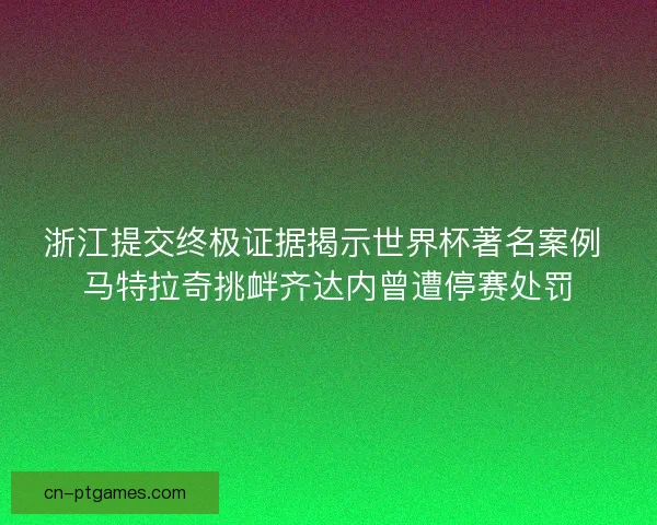 浙江提交终极证据揭示世界杯著名案例 马特拉奇挑衅齐达内曾遭停赛处罚